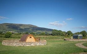 Bluebell Lane Glamping