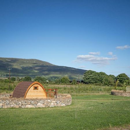 Bluebell Lane Glamping Hotel Newry Exterior photo