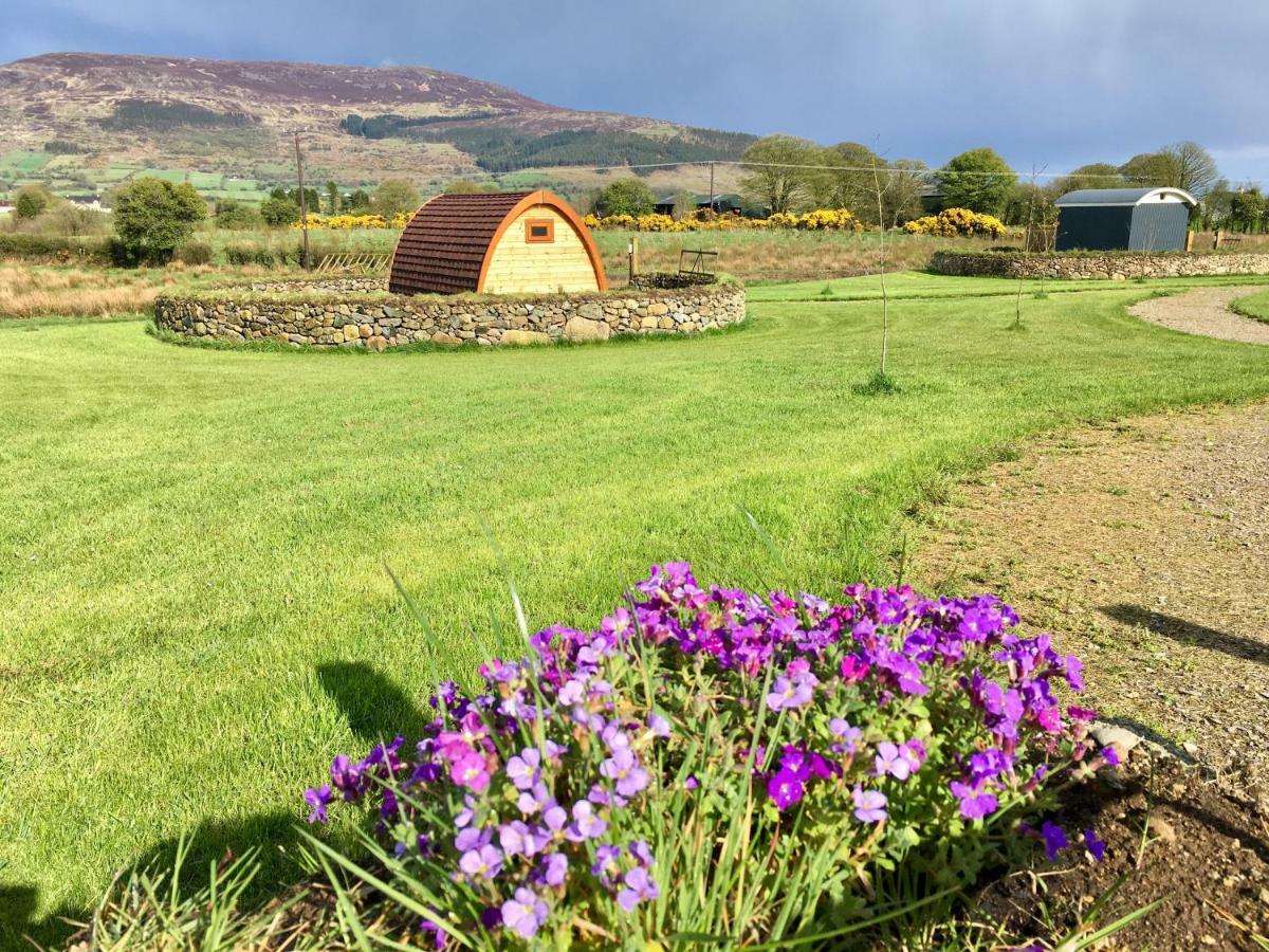 Bluebell Lane Glamping Hotel Newry Exterior photo