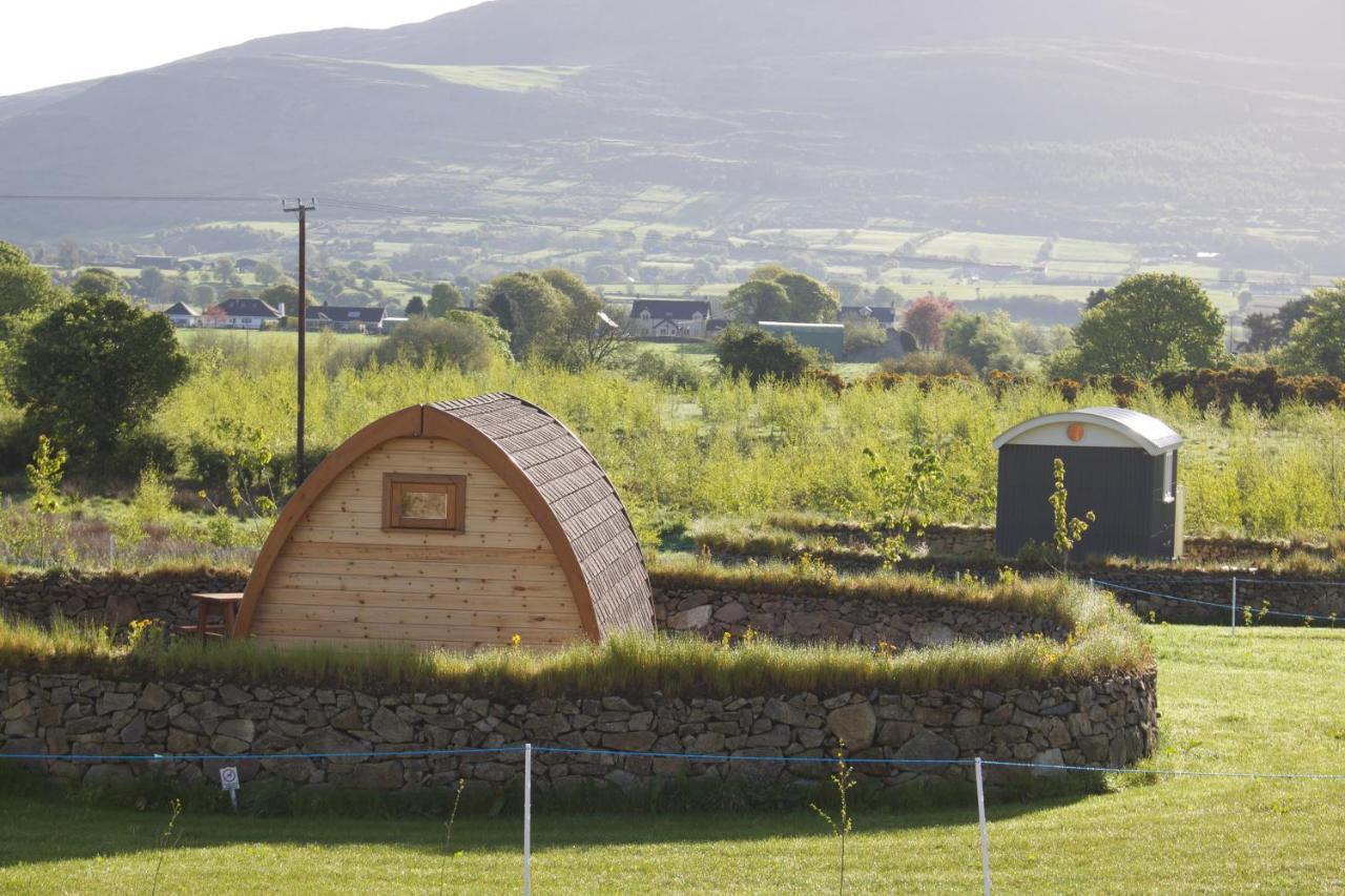 Bluebell Lane Glamping Hotel Newry Exterior photo