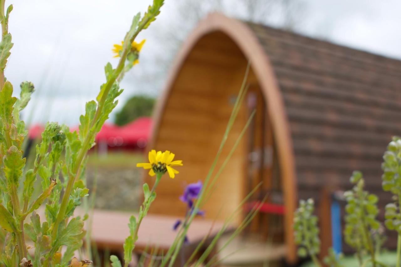 Bluebell Lane Glamping Hotel Newry Exterior photo